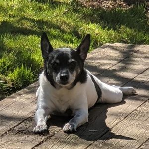 Meet your Posher, Emma